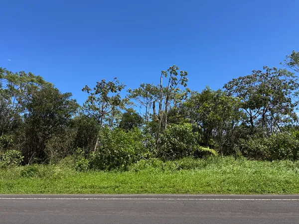 $180,000 | 13-3827 Lot 2 Pahoa Kalapana Road, Pahoa, HI 96778