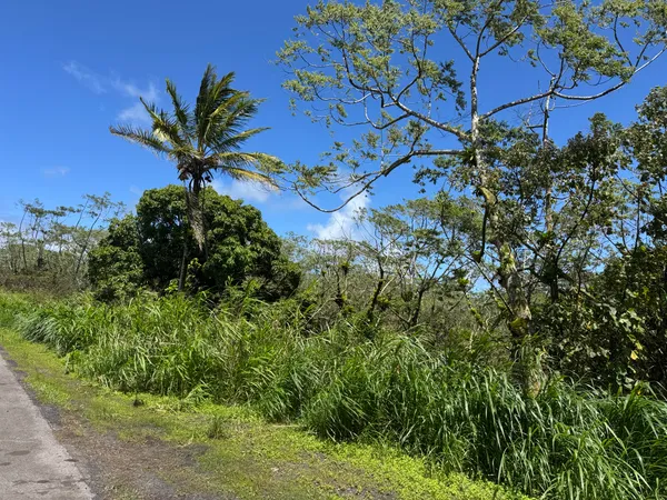 $180,000 | 13-3827 Lot 2 Pahoa Kalapana Road, Pahoa, HI 96778
