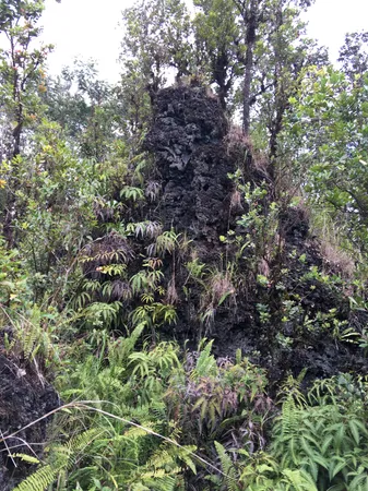 $180,000 | 13-3827 Lot 2 Pahoa Kalapana Road, Pahoa, HI 96778