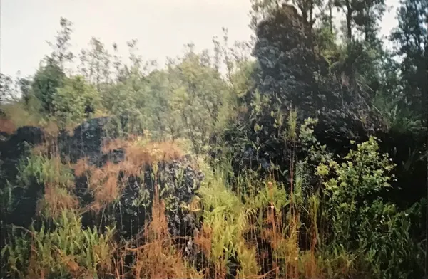 $180,000 | 13-3827 Lot 2 Pahoa Kalapana Road, Pahoa, HI 96778