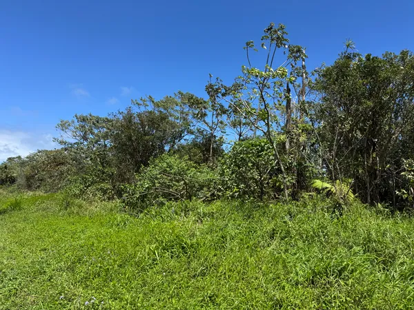 $180,000 | 13-3827 Lot 2 Pahoa Kalapana Road, Pahoa, HI 96778
