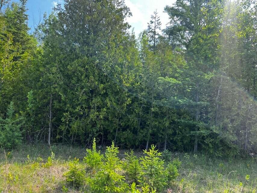 Walmsley Road Alpena, MI 49707 - Photo 3 of 5 Gallery Image 3