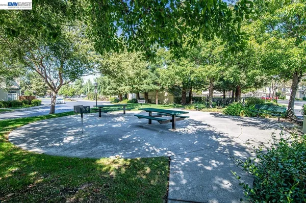 a view of a park with large trees