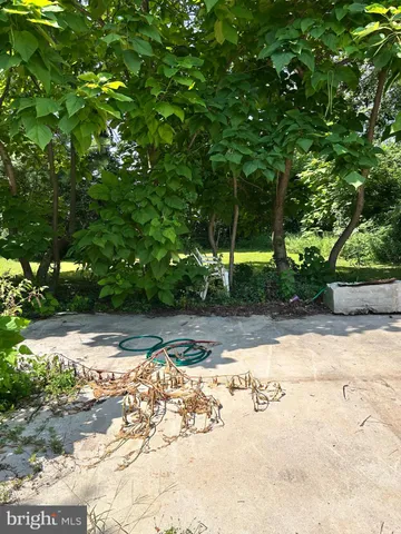 a view of a backyard with table and chairs and potted plants and large trees
