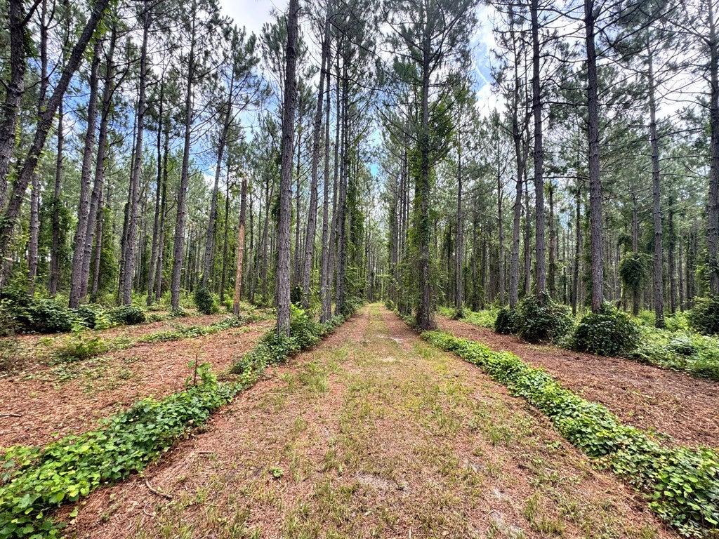 6936 Simpson Road Hahira, GA 31632 - Photo 23 of 34 Gallery Image 23