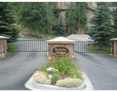 152 Knudson Ranch Road, Unit 152 Edwards, CO 81632 - Photo 1 of 6 a view of a garden with a fountain