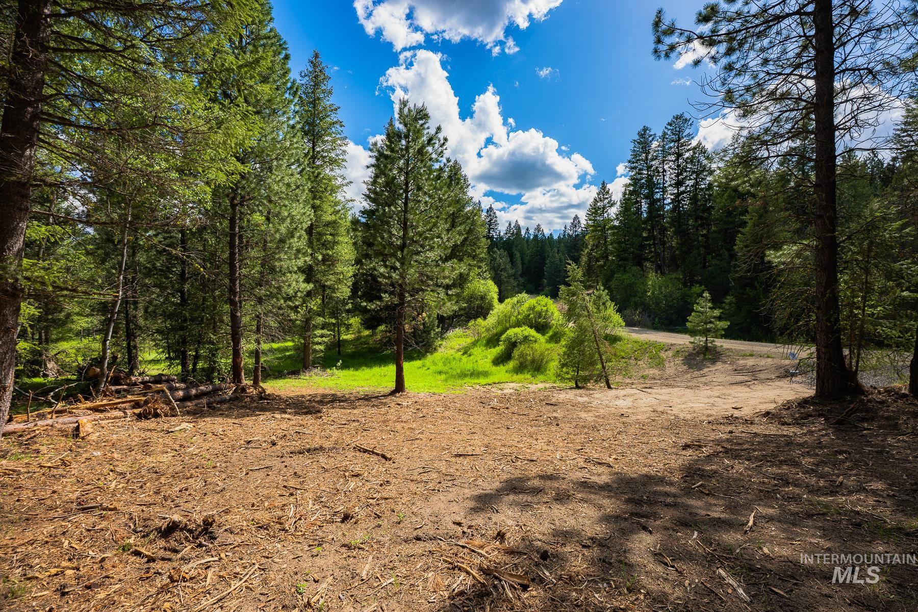 Lot 51 Price Loop Cascade, ID 83611 - Photo 7 of 26