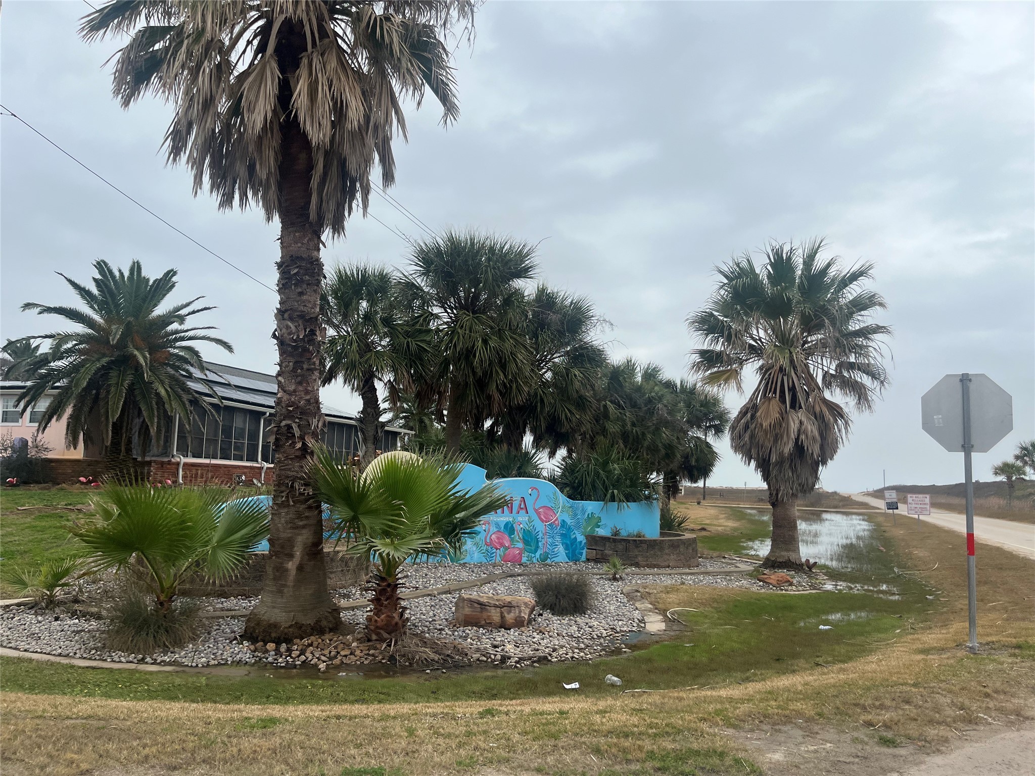 Tbd Tbd Kastl Street Freeport, TX 77541 - Photo 12 of 14 a house with swimming pool and trees in the background