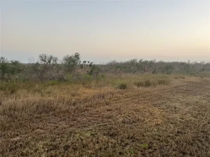 a view of a field with trees in background