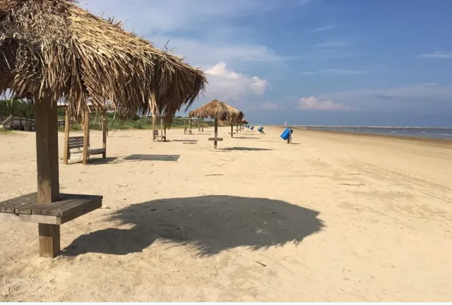 a house with swimming pool and trees in the background