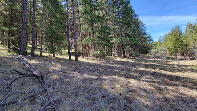 1315 Lofton Creek Road Prineville, OR 97754 - Photo 51 of 61 image000003 (8)