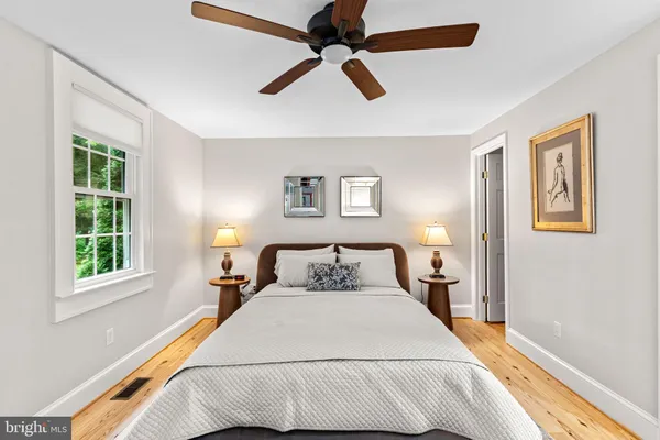 a room with a lamp and a potted plant on th counter