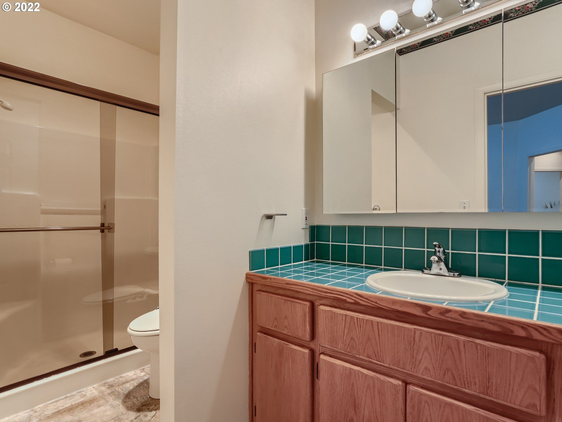 11370 Southwest Clifford Street Beaverton, OR 97008 - Photo 19 of 29 a bathroom with a shower and a sink