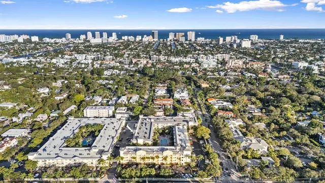 a view of a backyard with plants
