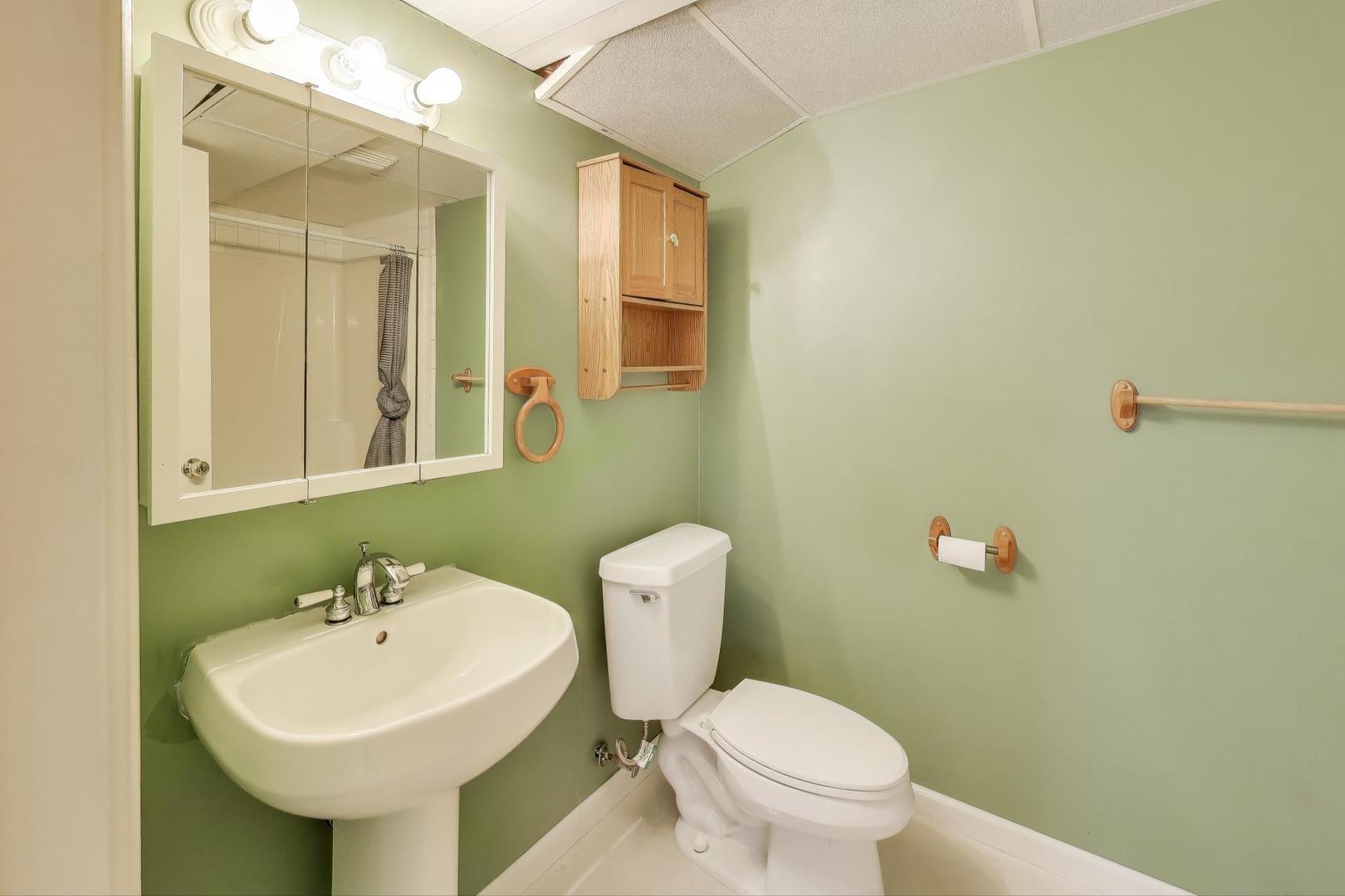 719 Sun Lake Road Lake Villa, IL 60046 - Photo 37 of 46 a bathroom with a sink a toilet and mirror