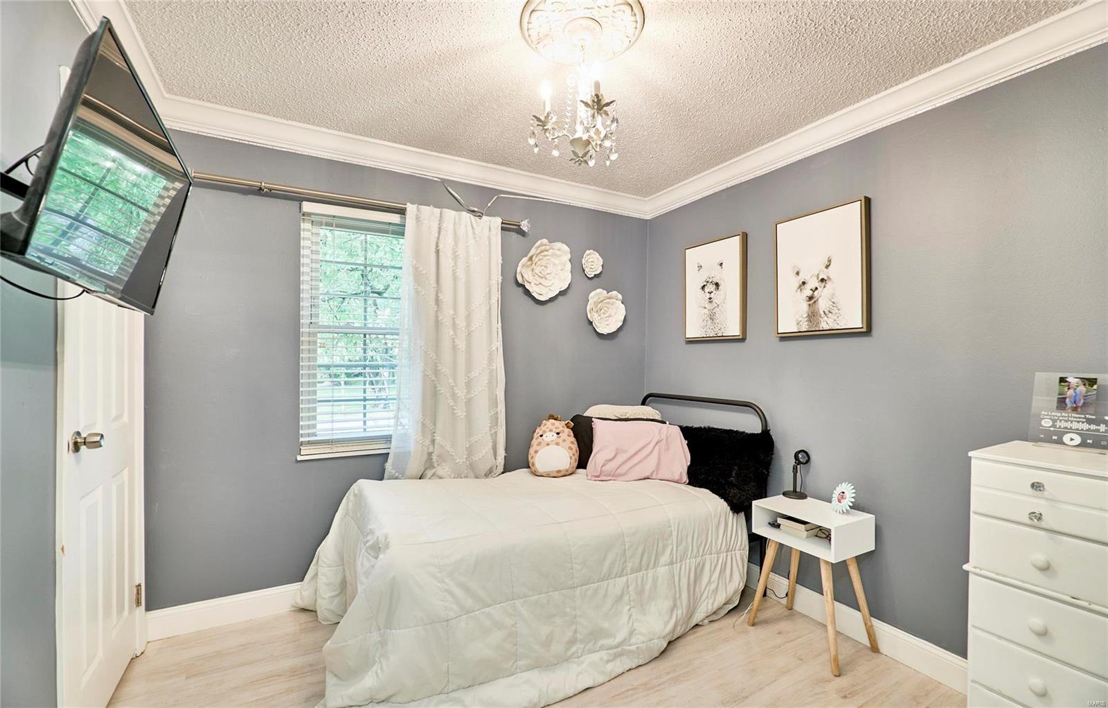 249 Treasure Cove Ballwin, MO 63021 - Photo 19 of 35