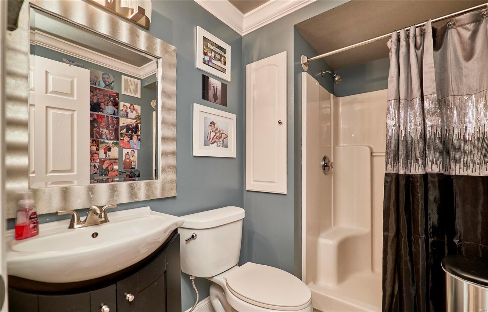 249 Treasure Cove Ballwin, MO 63021 - Photo 27 of 35