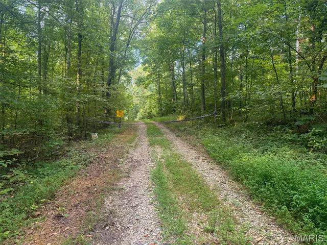 $265,000 | 0 Highway 34, Marble Hill, MO 63764