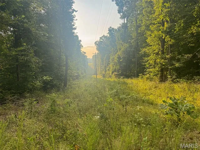 $265,000 | 0 Highway 34, Marble Hill, MO 63764