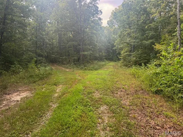 $265,000 | 0 Highway 34, Marble Hill, MO 63764