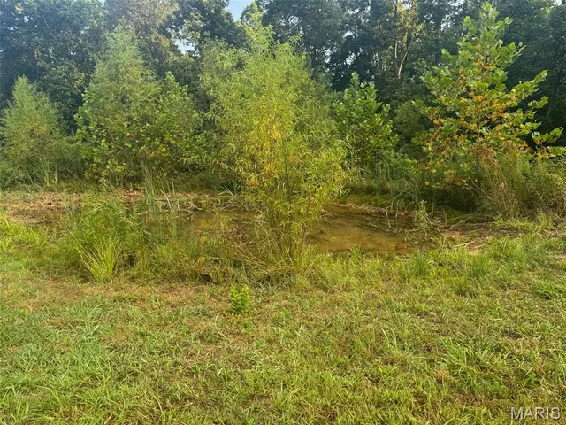 $265,000 | 0 Highway 34, Marble Hill, MO 63764