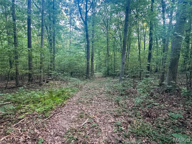 $265,000 | 0 Highway 34, Marble Hill, MO 63764