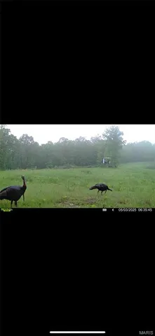 $265,000 | 0 Highway 34, Marble Hill, MO 63764