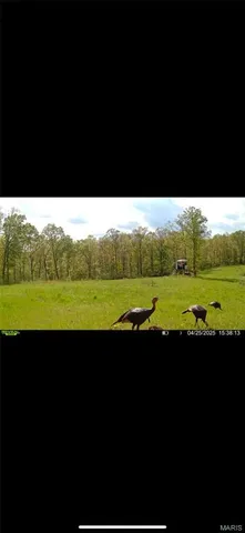 $265,000 | 0 Highway 34, Marble Hill, MO 63764