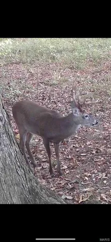 $265,000 | 0 Highway 34, Marble Hill, MO 63764