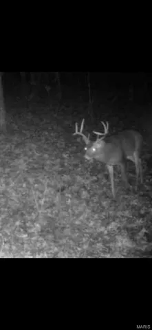 $265,000 | 0 Highway 34, Marble Hill, MO 63764