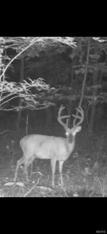 $265,000 | 0 Highway 34, Marble Hill, MO 63764