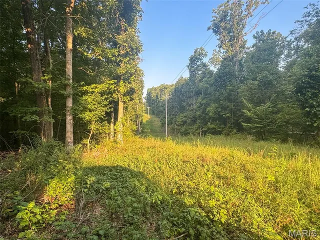 $265,000 | 0 Highway 34, Marble Hill, MO 63764