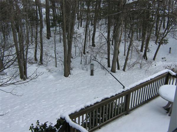 21 Evergreen Road Tewksbury, MA 01876 - Photo 22 of 23 Gallery Image 22