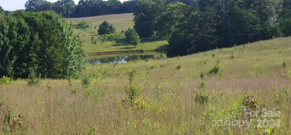 $650,000 | Lot 20 Ar Thompson Rd Mill Spring, Unit 20, Mill Spring, NC 28756