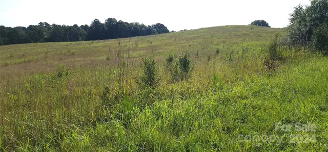 $650,000 | Lot 20 Ar Thompson Rd Mill Spring, Unit 20, Mill Spring, NC 28756