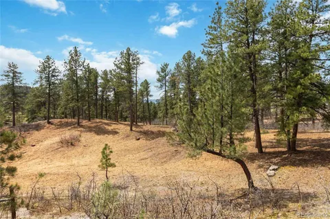 $1,600,000 | 1600 Knotty Pine Way, Castle Rock, CO 80108