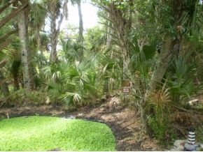 1360 Hall Road Malabar, FL 32950 - Photo 6 of 6 Additional Photo