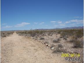 Oooo Arlington Road Yucca, AZ 86438 - Photo 1 of 2 Primary Photo