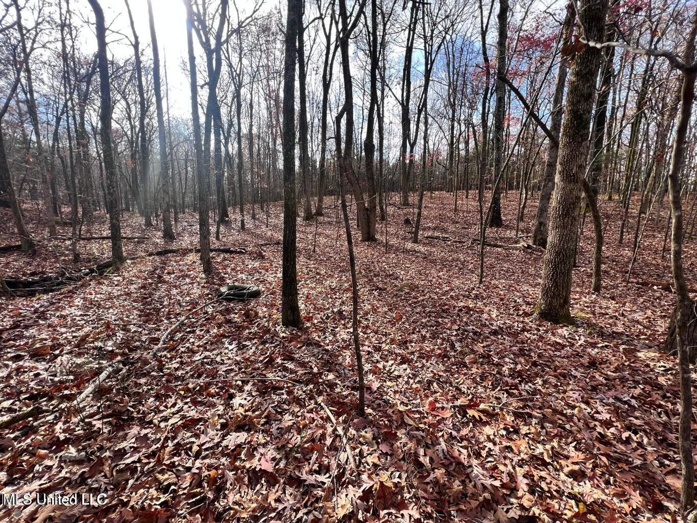 North Ricks Road Coldwater, MS 38618 - Photo 12 of 42 nricks 38