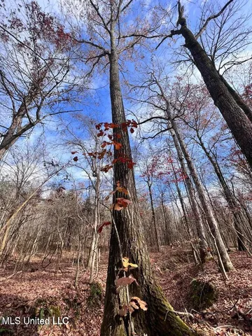 $170,000 | North Ricks Road, Coldwater, MS 38618