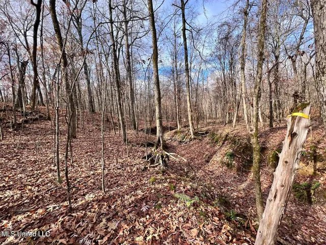 $170,000 | North Ricks Road, Coldwater, MS 38618