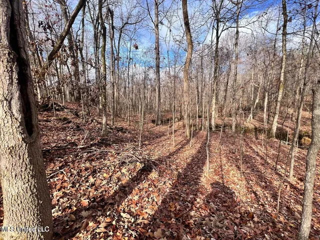 $170,000 | North Ricks Road, Coldwater, MS 38618