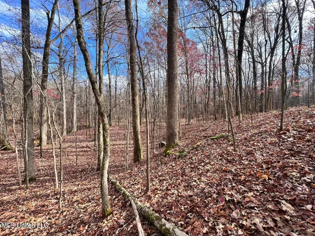 $170,000 | North Ricks Road, Coldwater, MS 38618