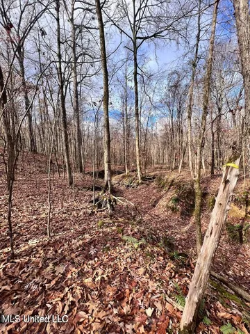 $170,000 | North Ricks Road, Coldwater, MS 38618