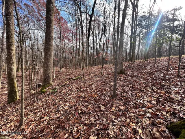 $170,000 | North Ricks Road, Coldwater, MS 38618