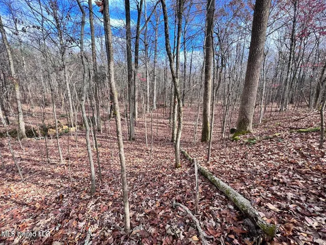 $170,000 | North Ricks Road, Coldwater, MS 38618