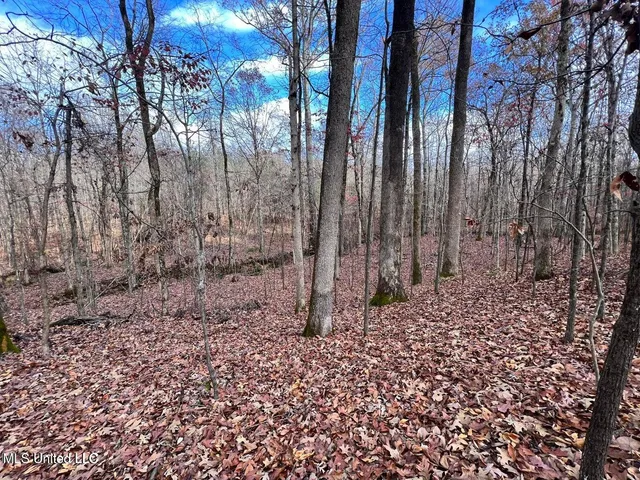 $170,000 | North Ricks Road, Coldwater, MS 38618