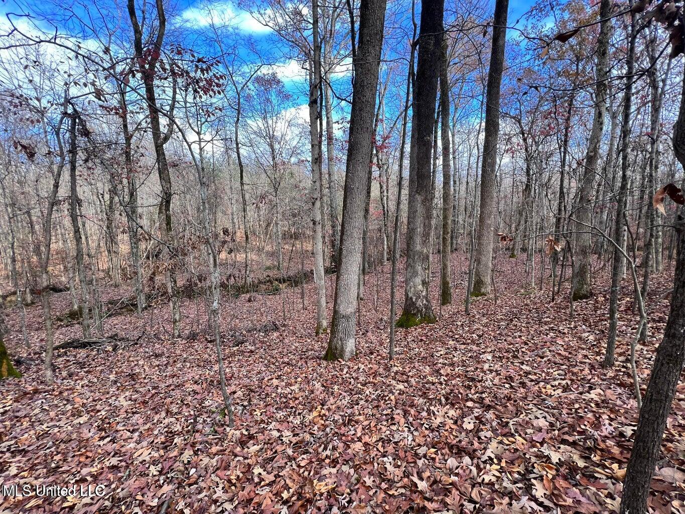 North Ricks Road Coldwater, MS 38618 - Photo 20 of 42 nricks29