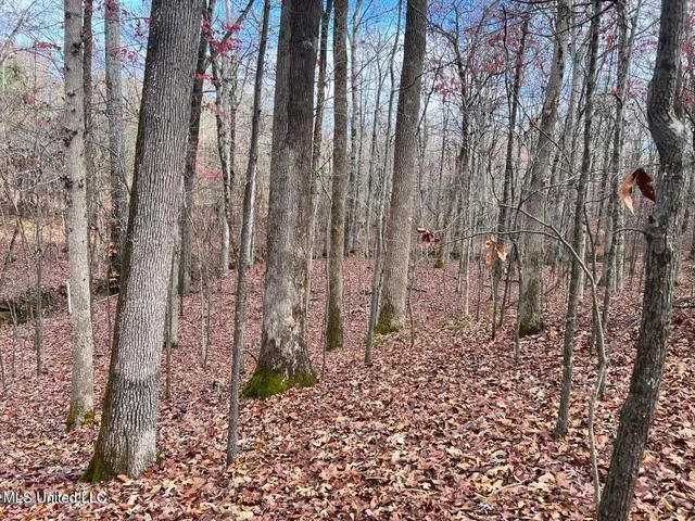 $170,000 | North Ricks Road, Coldwater, MS 38618