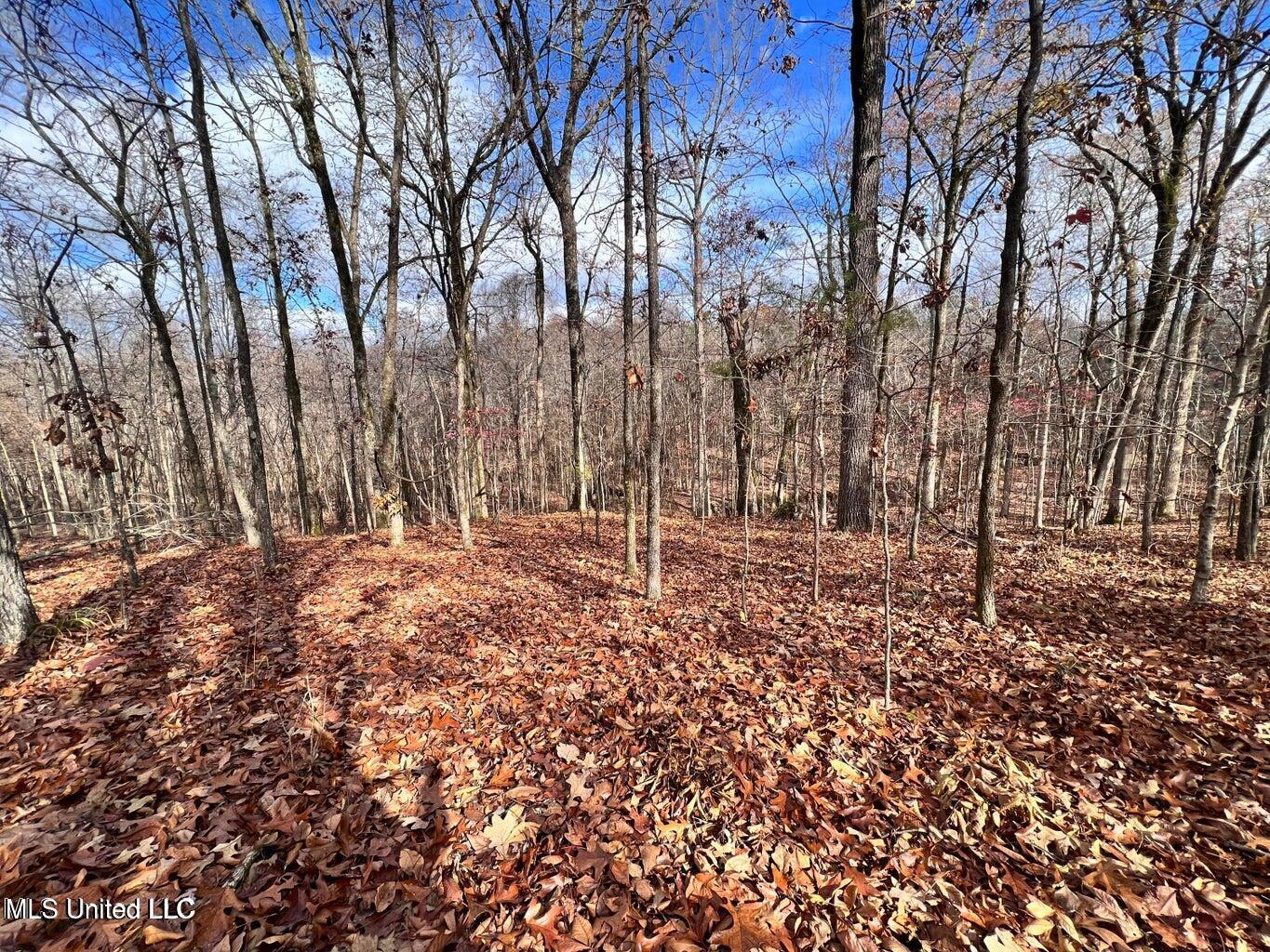 North Ricks Road Coldwater, MS 38618 - Photo 25 of 42 nricks24